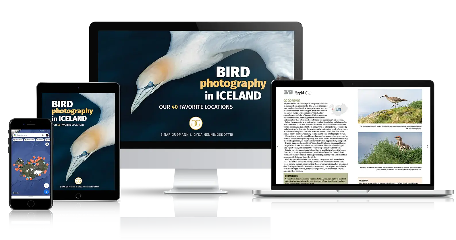 Dịch tiếng Iceland sang tiếng Việt tại ASEAN đảm bảo chất lượng bản dịch tối ưu 5 ASEAN chuyên cung cấp dịch thuật địa phương hóa tiếng Iceland cho đa dạng các loại website